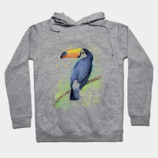 Toucan Watercolor Hoodie